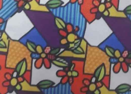 Palmprene / Cacharrel Estampado
